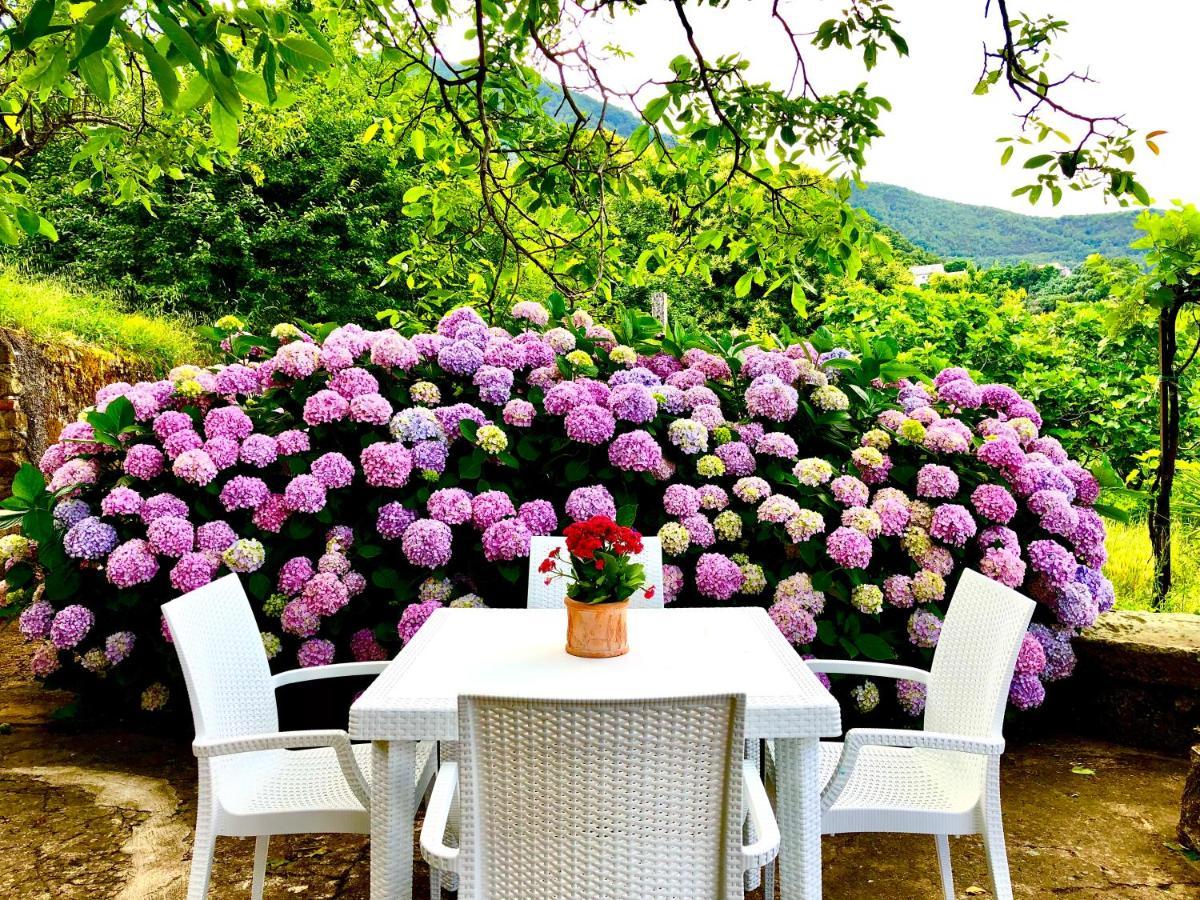 Il Ciliegio Villa Stella Cilento ภายนอก รูปภาพ