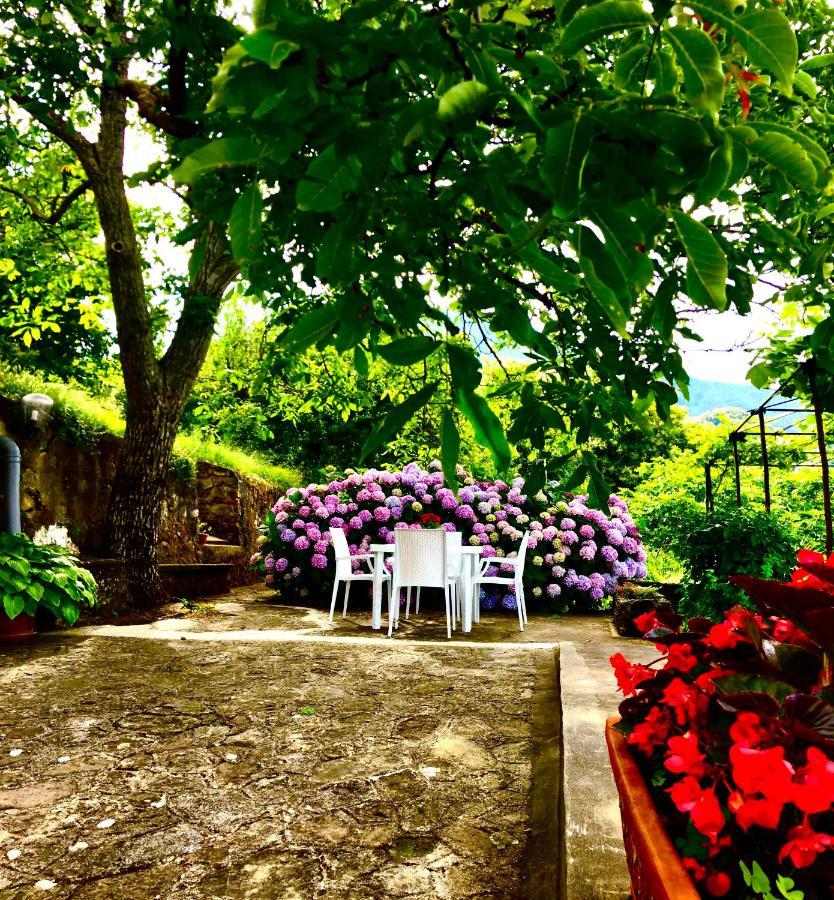 Il Ciliegio Villa Stella Cilento ภายนอก รูปภาพ
